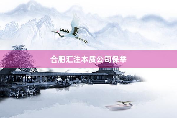 合肥汇注本质公司保举