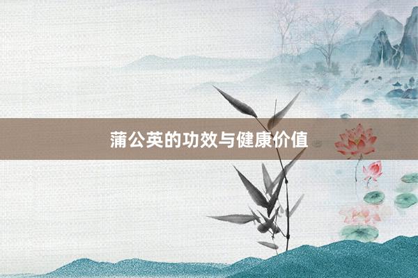 蒲公英的功效与健康价值