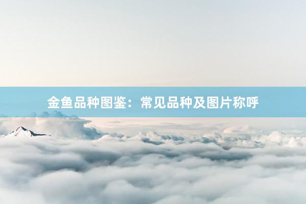 金鱼品种图鉴：常见品种及图片称呼