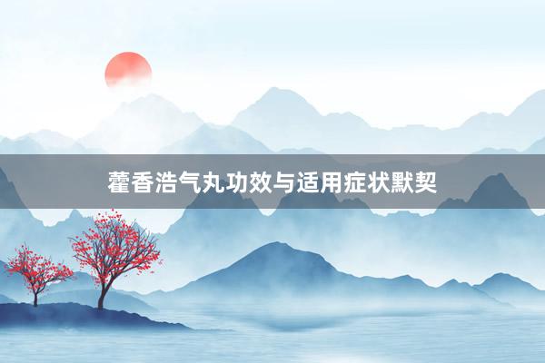 藿香浩气丸功效与适用症状默契
